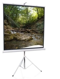  153x203   ScreenMedia Apollo, Matte White